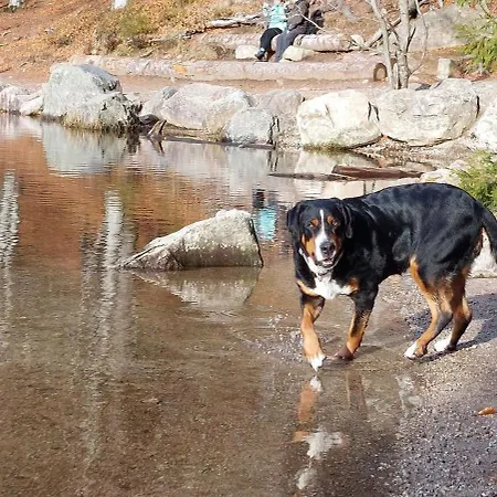 בית נופש Raimartihof Mit Ferienunterkuenften
